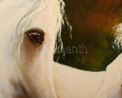 Pintér László (- ): Újszülött (lovak), olaj, farost, jelzett, szélén korábbi keretezésből fakadó kop...