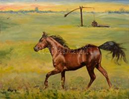 Tóth Teréz (- ): Táj (ló), olaj, farost, jelzett, szélén korábbi keretezésből fakadó kopásokkal, 30×40 cm