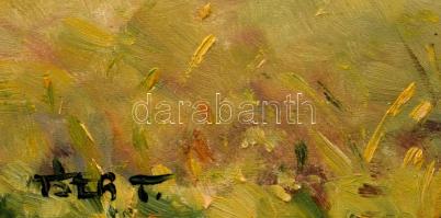 Tóth Teréz (- ): Táj (ló), olaj, farost, jelzett, szélén korábbi keretezésből fakadó kopásokkal, 30×...