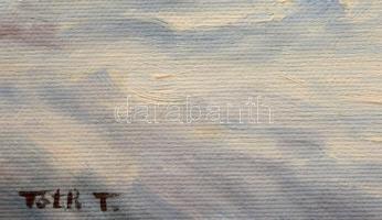 Tóth Teréz (- ): Akt (fekvő női akt), olaj, vászon, kartonon, jelzett, 30×42 cm