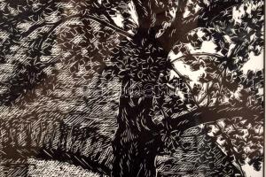 Gy. Szabó Béla (1905-1985): Öreg fa (olvashatatlan címmel), 1976. Fametszet, kézi levonat, papír, je...