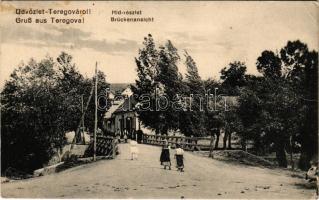1916 Teregova, Terregova; híd részlet. Fogyasztási szövetkezet kiadása / Brückenansicht / bridge, street (EK)