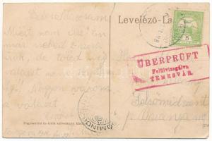 1916 Teregova, Terregova; utca részlet, Teregovai takarék és hitelintézet részvénytársaság, takarékp...