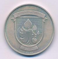 1993. "X. Jubileumi Nemzetközi Tűzoltó Csillagtúra - Gyula - 1993. május 27-30. / Tűzoltóparanc...