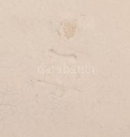 cca 1910 Hollóházi kakasmintás fali dísztál, jelzett, sérüléssel, d: 23 cm