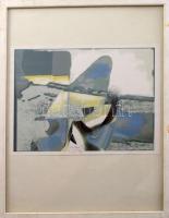 Lux Antal (1935-): Flug neu, 1997. Elektrográfia, papír, jelzett, számozott (13/1). Üvegezett, kissé kopott fakeretben, 20×26 cm. A művész első elektrográfiai közül az egyik!