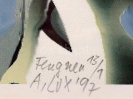 Lux Antal (1935-): Flug neu, 1997. Elektrográfia, papír, jelzett, számozott (13/1). Üvegezett, kissé...