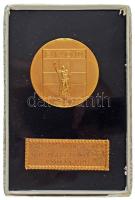 Görögország 1981. "E. K. O. O. XI. Balkáni Ifjúsági Úszóverseny - Kavala 1981" egyoldalas, aranyozott fém emlékérem áttetsző műanyag alapon, kopott tokban T:AU,XF, patina Greece 1981. "Balkan Youth Swimming Championship - Kavala 1981" one-sided, gilded metal commemorative medal on a transparent plastic base, in a worn case C:AU,XF, patina