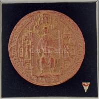 Spanyolország 1977. "Martin I. király bélyegzőjének másolata, 1399. - Reprodukció a Város Történeti Múzeumából" egyoldalas bakelit emlékérem dísztokban, fém alapú információs szöveggel a hátoldalon (129mm) T:AU,XF Spain 1977. "Facsimil de un Sello del rey Martin I, el Humano ano 1399 - Reproducció del Museu D' Historia de la Ciutat" one-sided vinyl commemorative medallion in a decorative case, with a metal-based information text on the reverse (129mm) C:AU,XF