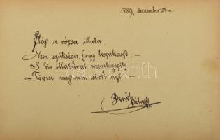 cca 1899 Kézzel írt emlékkönyv aranyozott, dombornyomott kötéstáblákkal