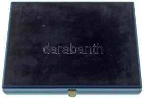 Olaszország DN "Olasz Úszószövetség" egyoldalas, festett, aranyozott, részben műgyantás fé...