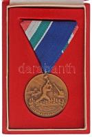 1960. "Árvízvédelemért" bronz kitüntető jelvény mellszalagon, eredeti tokban (35mm) T:AU