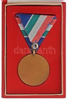 1960. "Árvízvédelemért" bronz kitüntető jelvény mellszalagon, eredeti tokban (35mm) T:AU