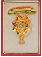 1970-1980 k. "Mezőgazdaság Kiváló Dolgozója" aranyozott, műgyantás bronz kitüntetés miniatűrrel T:AU