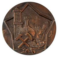 Paál István (1935-2010) (?) ~1970. "Nehézipari Minisztérium" bronz plakett (89mm) T:AU
