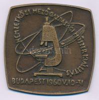 1960. "Nemzetközi Mezőgazdasági Műszerkiállítás - Budapest 1960. V. 10-31" egyoldalas bronz emlékplakett (62x62mm) T:XF