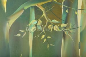 Szabados János (1937-): Séta az erdőben. Olaj, vászon, jelezve jobbra lent, hátoldalán Budapesti Kép...