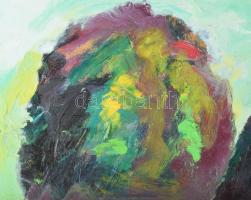 Schéner Mihály (1923-2009): Vízimalom. Olaj, farost, jelezve balra lent, hátoldalán Schéner Mihály a...