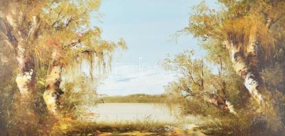 Bocsák Krisztina (1964-): Vízparti fák. Olaj, farost. Jelzett. Dekoratív fakeretben. 35x70 cm