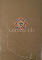 Képes Krónika. (Chronicon Pictum) I-II. kötet. I. köt.: Az Országos Széchenyi Könyvtárban őrzött kód...