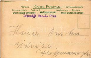 Sieh nur die beiden Gratulanten... / humour art postcard with pigs. Eigentum u. Verlag von L.S.W. li...