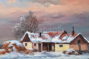 Czinege Zsolt (1964-): Téli táj. Olaj, farost, jelzett. 32×40 cm. Dekoratív fakeretben