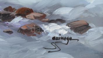 Czinege Zsolt (1964-): Téli táj. Olaj, farost, jelzett. 32×40 cm. Dekoratív fakeretben