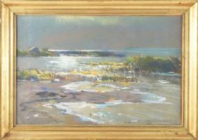 Halasi Horváth István (1904-1994): Balatonfenyves. Pasztell, karton, jelzett. Dekoratív, üvegezett fakeretben, 30×45 cm