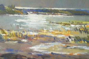 Halasi Horváth István (1904-1994): Balatonfenyves. Pasztell, karton, jelzett. Dekoratív, üvegezett f...