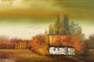 Bánhidy László (1952-): Tanya. Olaj, farost. Jelezve jobbra lent. Fakeretben, 30×50 cm