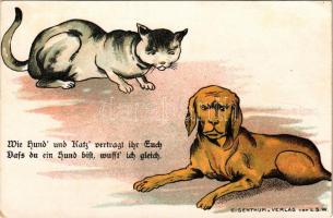 Wie Hund' und Katz' vertragt ihr Euch, dass du ein Hund bist, wusst ich gleich / humour ar...