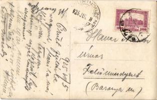 1925 Budapest XIV. Angol Park a Városligetben, Alpesi Falu, vidámpark. photo (fa)