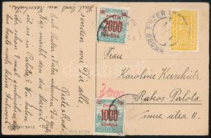 1924 Képeslap Ausztriából Rákospalotára 3.000K portóval / Postcard from Austria to Hungary with 3.000K postage due