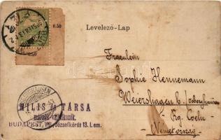 1905 Budapest I. Alagút a Lánchíd budai hídfőjéről (fl)