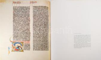 A Nekcsei-Biblia legszebb lapjai. A bevezetőt Dana J. Pratt, a képmagyarázatokat Lévárdy Ferenc írta...