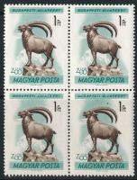 1961 Budapesti állatkert I. 1Ft négyestömb, a 4. bélyegen a kecske felett barna folt