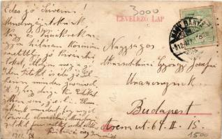 1912 Nagybánya, Baia Mare; Ligeti részlet. Frankovits A. kiadása / park (r)