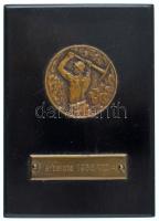 1936. Bányász emlékérem, fa hasábon "Várpalota 1936 VII 4" táblácskával. A városban ezen a napon került sor a bányászok gyűjtéséből épített uszoda felavatására. T:AU,XF