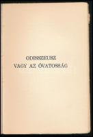 Bálint György: Spanyolországban jártam. (Benne két további tanulmánnyal: Salavin, vagy a kispolgári ...