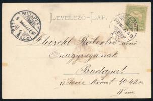 1903 Képeslap "BÉCS-BUDAPEST" vasúti bélyegzéssel