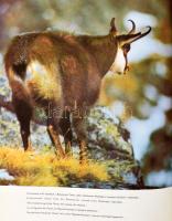 Tatry rozprávajú. The Tatras tell their tale. Bratislava, 1969, Tatrapress. Szlovák, orosz, angol, f...