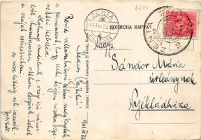 Zenta, Senta; Varoska kuca, Glavni trg, Spom. Kr. Petra I., Izgled sa gavozd mostom, Gvozd most i pr...