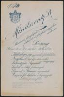 cca 1910 Czullik Inez, Czullik Ágost, a Liechtenstein hercegi kertek igazgatója lányának portréja, k...