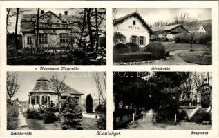 Klotildliget (Piliscsaba), v. Nagybaconi Nagy villa, Béthel villa, Zelenka villa, Fenyves út. Ferhétz Imre kiadása