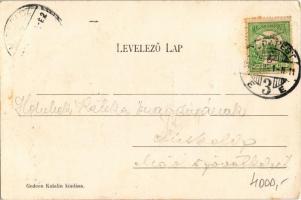 1908 Piliscsaba, Dóra vendéglő és az udvara. Gedeon Katalin kiadása (EK)