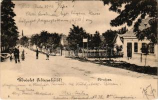 1906 Piliscsaba, Fő utca (EK)
