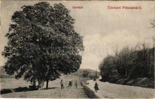 1911 Piliscsaba, Országút. Blau Adolf kiadása (EK)