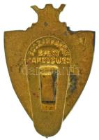 DN (~1945) "M S SZ" (Magyar Sakk Szövetség) zománcozott, címer rátétes bronz jelvény, &quo...