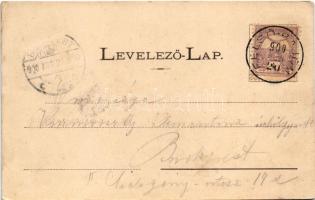 1900 Báznafürdő, Bad Baassen, Baile Bazna; Meleg fürdő épülete, Svájczi lak fenyves között, villa. W...