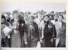 Gutman, Israel - Guttermann, Bella: Az Auschwitz album. Egy transzport története. Avner Shalev, Hill...
